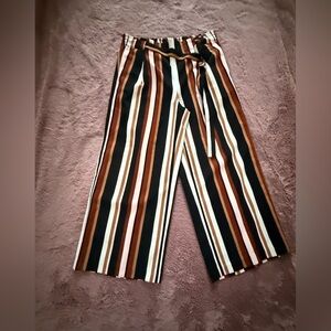 Ann Taylor Factory Multicolor Striped Pants